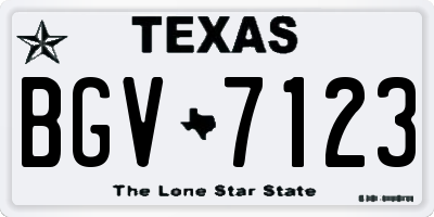 TX license plate BGV7123