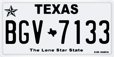 TX license plate BGV7133