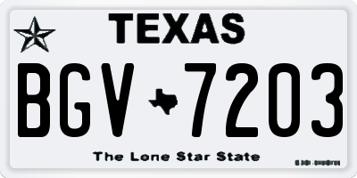 TX license plate BGV7203