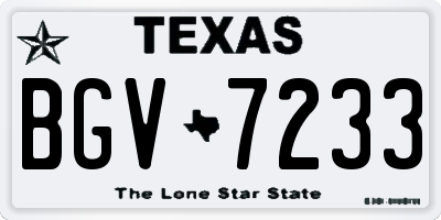 TX license plate BGV7233