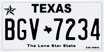 TX license plate BGV7234