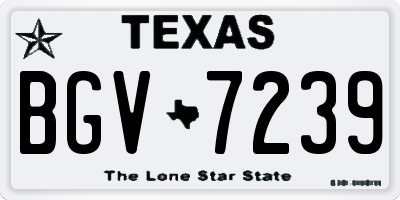 TX license plate BGV7239