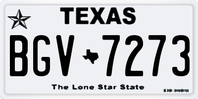 TX license plate BGV7273