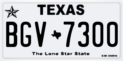 TX license plate BGV7300