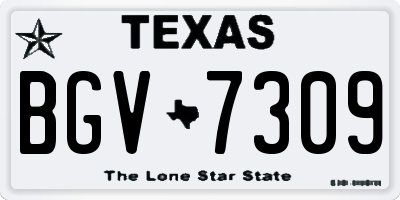 TX license plate BGV7309