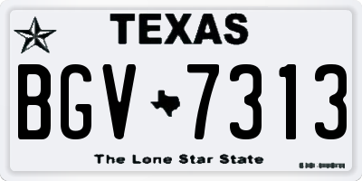 TX license plate BGV7313