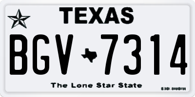 TX license plate BGV7314