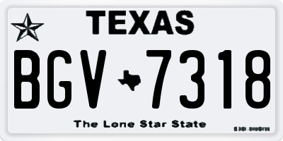 TX license plate BGV7318