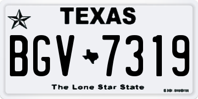 TX license plate BGV7319