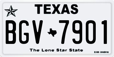 TX license plate BGV7901