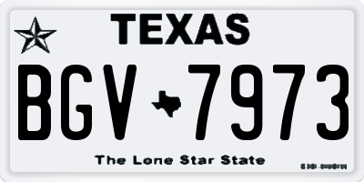 TX license plate BGV7973