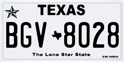 TX license plate BGV8028