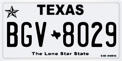 TX license plate BGV8029