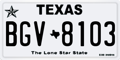 TX license plate BGV8103