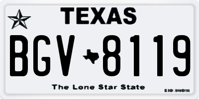 TX license plate BGV8119