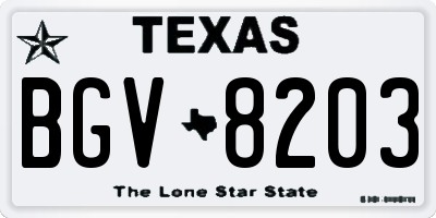 TX license plate BGV8203