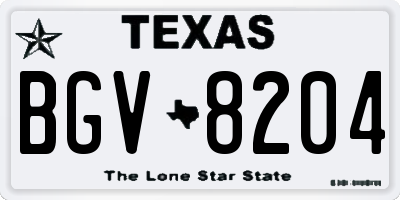 TX license plate BGV8204