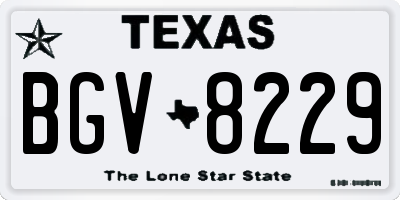 TX license plate BGV8229