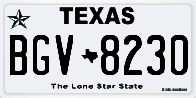 TX license plate BGV8230