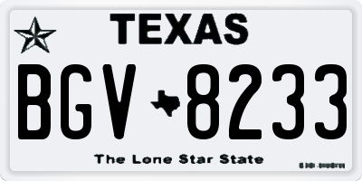 TX license plate BGV8233