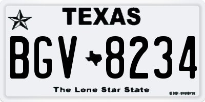 TX license plate BGV8234