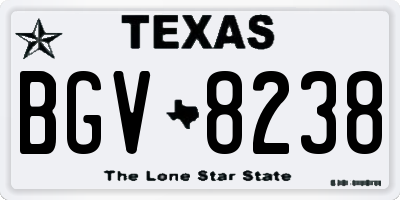 TX license plate BGV8238