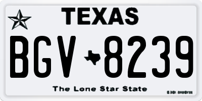 TX license plate BGV8239