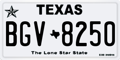 TX license plate BGV8250