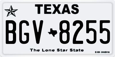 TX license plate BGV8255