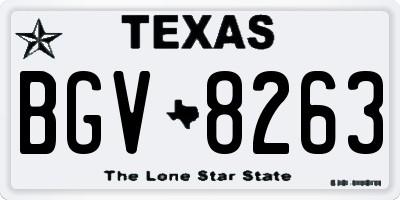 TX license plate BGV8263