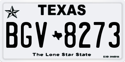 TX license plate BGV8273