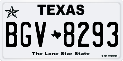 TX license plate BGV8293