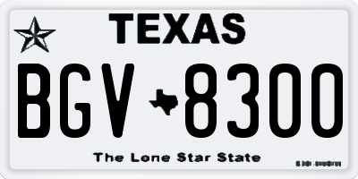 TX license plate BGV8300