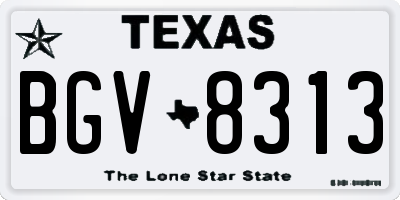 TX license plate BGV8313