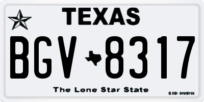 TX license plate BGV8317