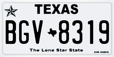 TX license plate BGV8319
