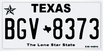 TX license plate BGV8373