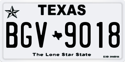 TX license plate BGV9018