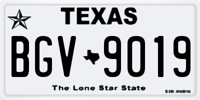 TX license plate BGV9019