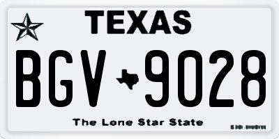 TX license plate BGV9028