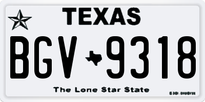 TX license plate BGV9318