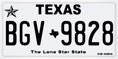 TX license plate BGV9828