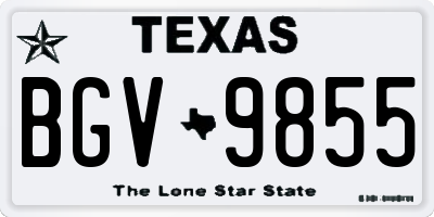 TX license plate BGV9855