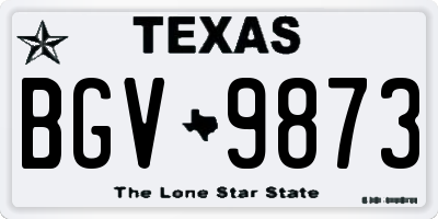 TX license plate BGV9873