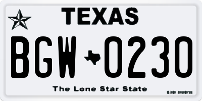 TX license plate BGW0230