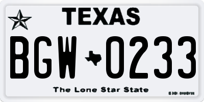 TX license plate BGW0233