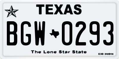 TX license plate BGW0293