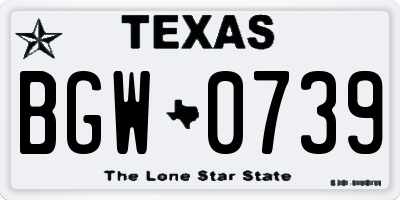 TX license plate BGW0739