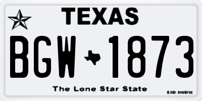 TX license plate BGW1873