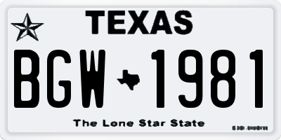 TX license plate BGW1981